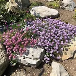 Prázdninový dům Bellagio Bellavista Di Betty *