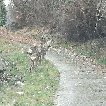 Bellagio Bellavista Di Betty